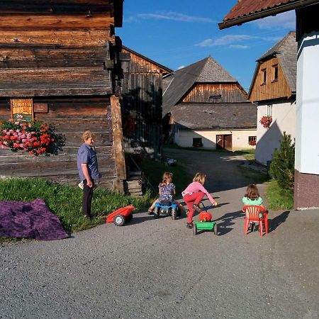 Rettlhof Villa Sankt Peter am Kammersberg Екстериор снимка