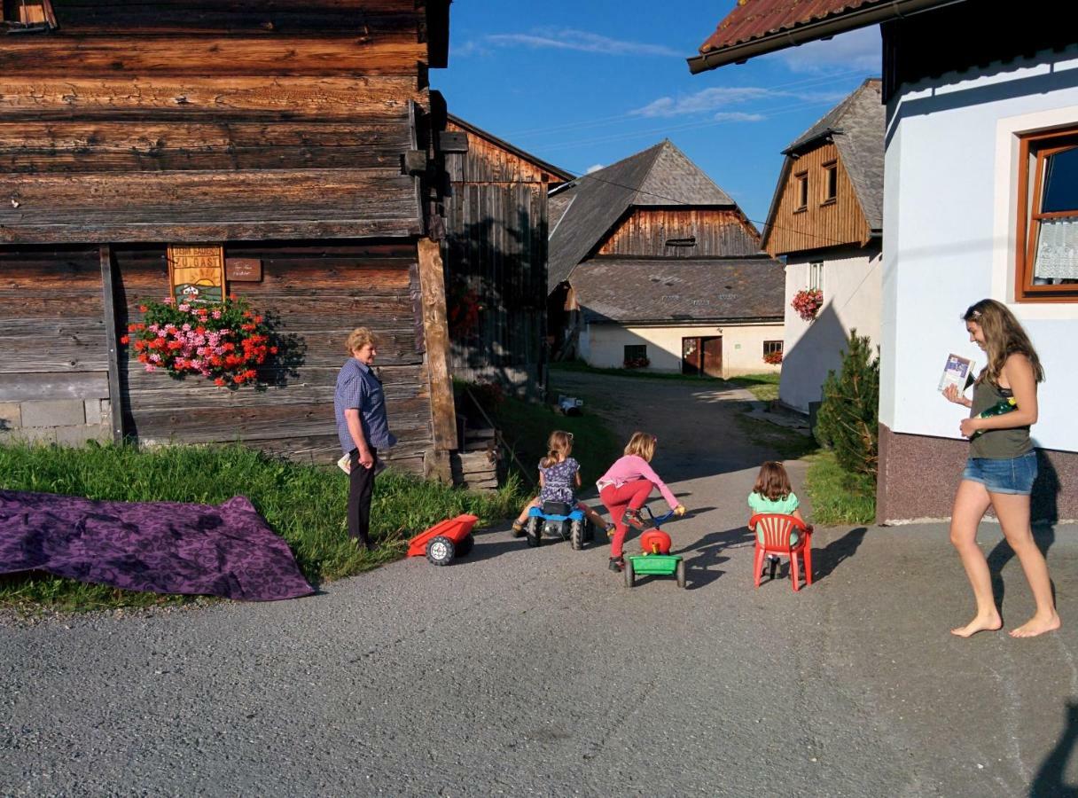 Rettlhof Villa Sankt Peter am Kammersberg Екстериор снимка