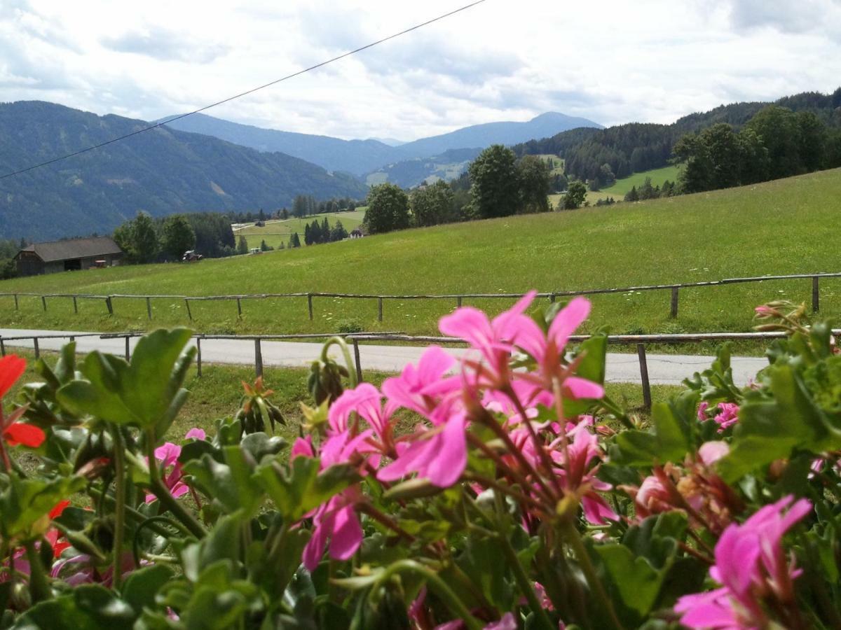Rettlhof Villa Sankt Peter am Kammersberg Екстериор снимка